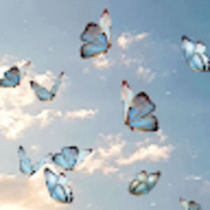 Meet your Posher, Zuleima